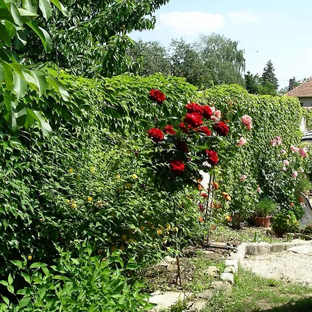 Giardino 3*