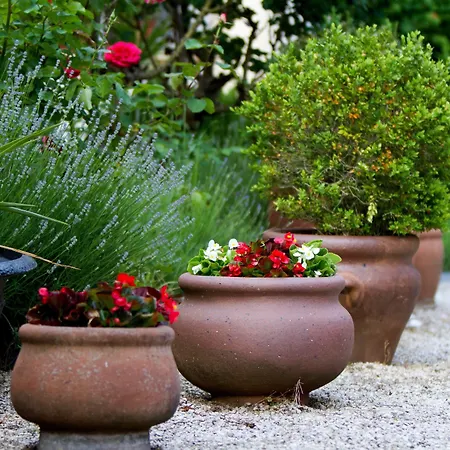 Giardino 3*
