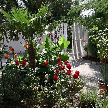Giardino