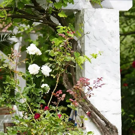 Giardino 3*