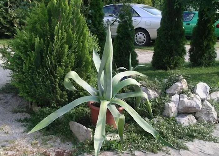 Hotel Giardino Balatongyorok